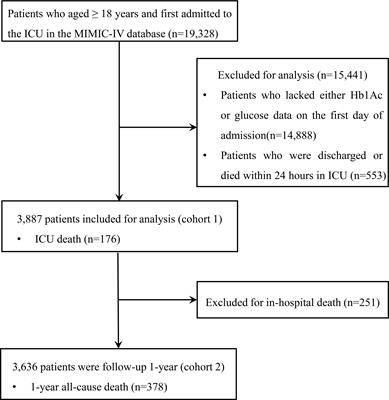 Relationship between stress hyperglycemia ratio and allcause mortality in critically ill patients: Results from the MIMIC-IV database
